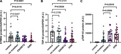 CRISPR interference to evaluate modifiers of C9ORF72-mediated toxicity in FTD